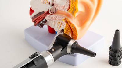 2016 Benefit Auction & BBQ